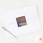 Duizeltuin van druivesuiker, hyacinth en tulpen, vierkante sticker (Envelop)