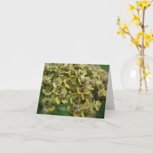 Duizendblad notecard kaart (Gele Bloem)