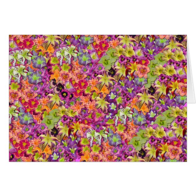 Duizenden Daylilies! (Voorkant Horizontaal)