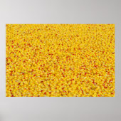 Duizenden eenden poster (Voorkant)