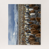 Duizenden koning pinguïns op het eiland Zuid-Georg Legpuzzel (Verticaal)