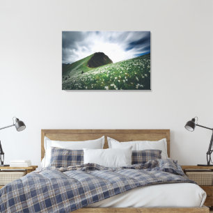 Duizenden narcissen op Golica, Slovenië Canvas Afdruk