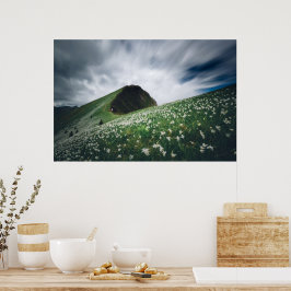 Duizenden narcissen op Golica, Slovenië Poster