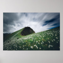 Duizenden narcissen over Golica, Slovenië Poster