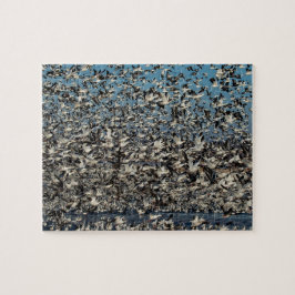 Duizenden sneeuwganzen legpuzzel