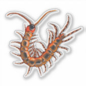 Duizendpoot  sticker (Voorkant)