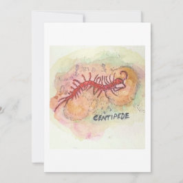 Duizendpoot Wenskaart Kaart