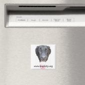 Duke Head, www.dogduty.org Magneet (Insitu (Vaatwasser))