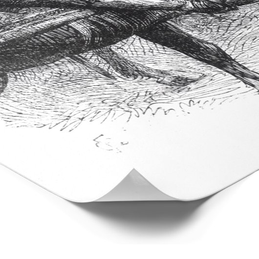 Duke of Monmouth Advancing op Taunton Poster (Hoek)