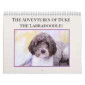 Duke The Labradoodle Kalender (Hoes)