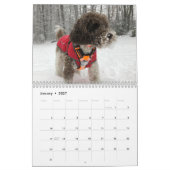 Duke The Labradoodle Kalender (Jan 2027)