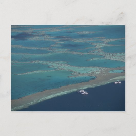 Dukplatforms nabij rif, Great Barrier Briefkaart (Voorkant)