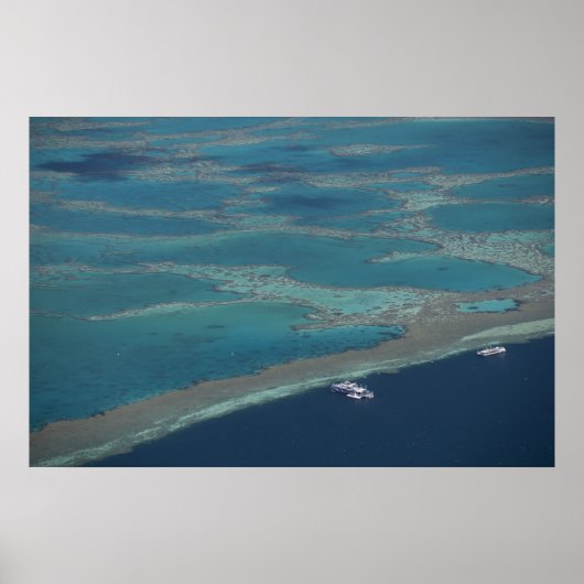 Dukplatforms nabij rif, Great Barrier Poster (Voorkant)