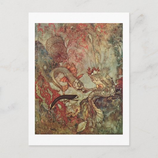 Dulac is de kleine zeemeermin briefkaart (Voorkant)