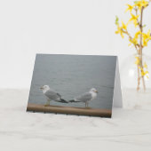 "Duluth Seagulls" Hartelijk dank Kaart (Gele Bloem)