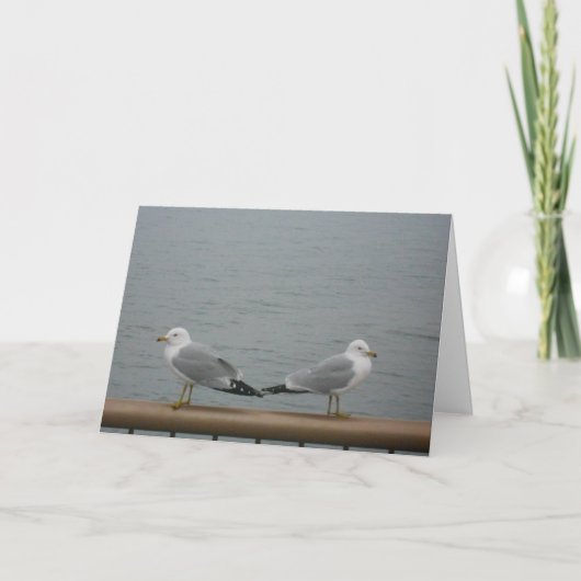 "Duluth Seagulls" Hartelijk dank Kaart (Voorkant)