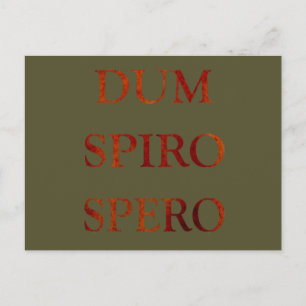 Dum spiro spero briefkaart