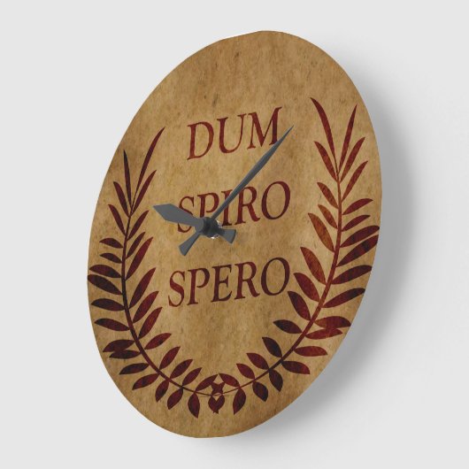 Dum spiro spero grote klok (Hoek)