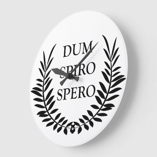 Dum spiro spero grote klok (Hoek)