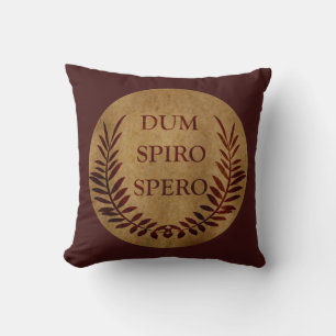 Dum spiro spero kussen