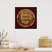 dum spiro spero, Latijnse uitdrukking Poster (Keuken)