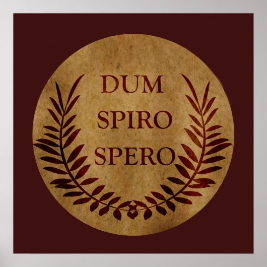 dum spiro spero, Latijnse uitdrukking Poster (Voorkant)
