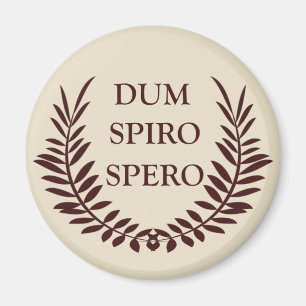 Dum spiro spero magneet