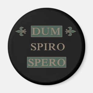 Dum spiro spero magneet