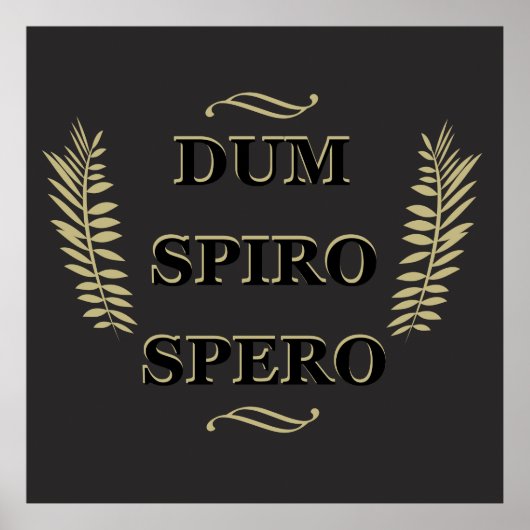 Dum spiro spero poster (Voorkant)
