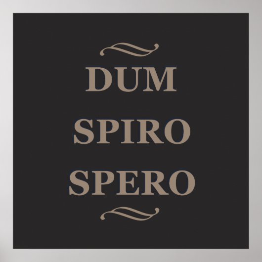 Dum spiro spero poster (Voorkant)