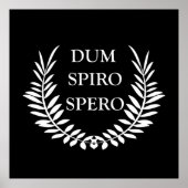 dum spiro spero poster (Voorkant)