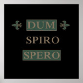 dum spiro spero poster (Voorkant)