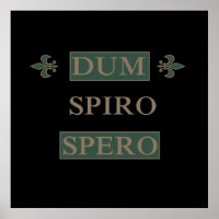 dum spiro spero