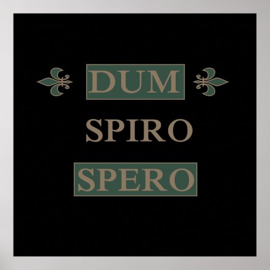 dum spiro spero poster (Voorkant)