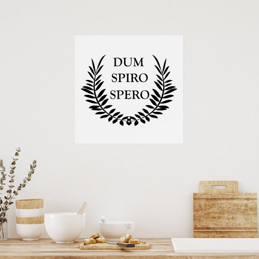 Dum spiro spero poster (Keuken)