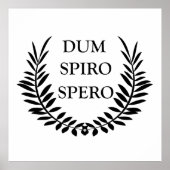 Dum spiro spero poster (Voorkant)