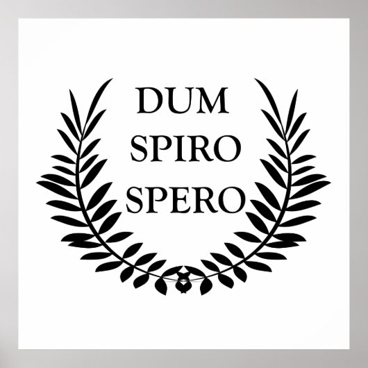 Dum spiro spero poster (Voorkant)