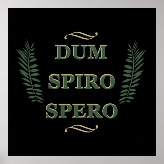 dum spiro spero poster (Voorkant)