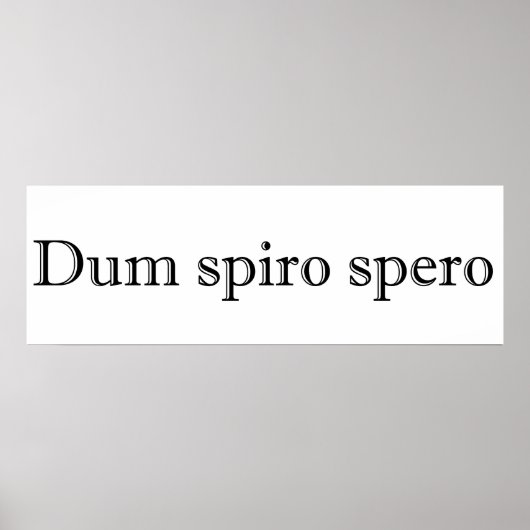 dum spiro spero poster (Voorkant)