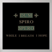 Dum spiro spero poster (Voorkant)