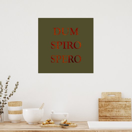 dum spiro spero poster (Keuken)