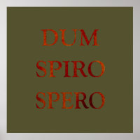 dum spiro spero