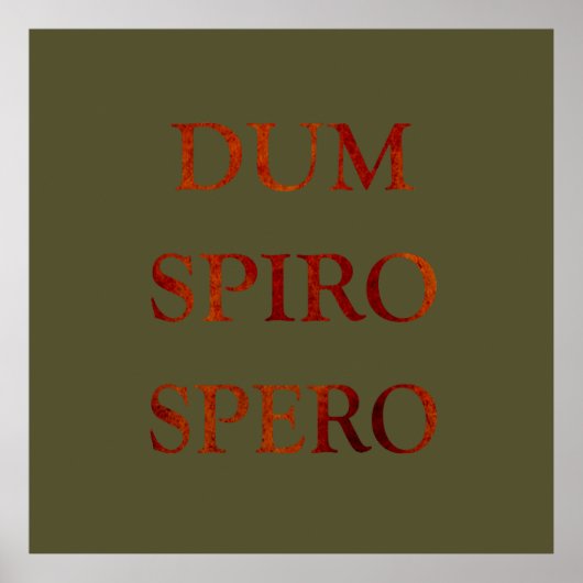 dum spiro spero poster (Voorkant)