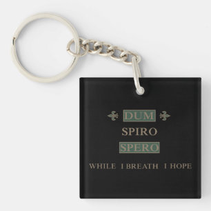 Dum spiro spero sleutelhanger