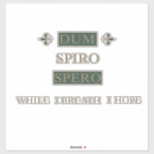 Dum spiro spero sticker (Vel)