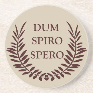 Dum spiro spero zandsteen onderzetter