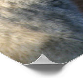 Duma The Wolf Poster (Hoek)