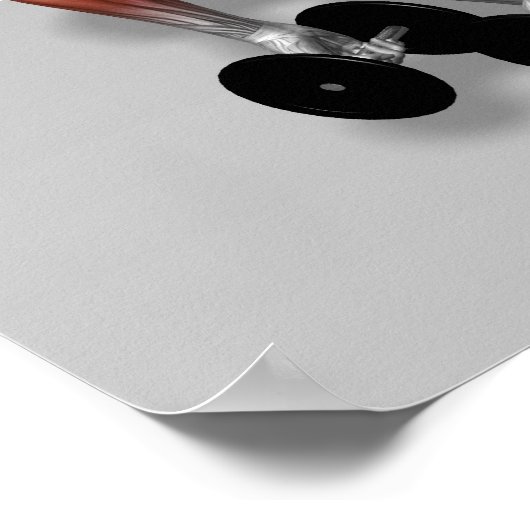 Dumbbell Single Leg Deadlift 2 Poster (Hoek)