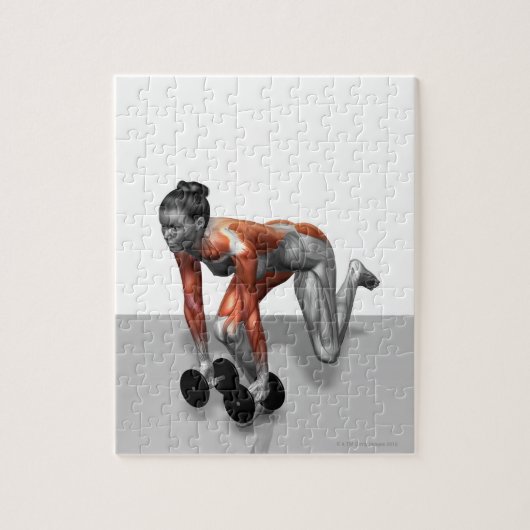 Dumbbell Single Leg Deadlift Legpuzzel (Verticaal)