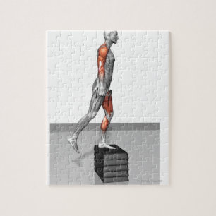 Dumbbell Stap omhoog 4 Legpuzzel